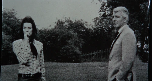 Still frame 164 from Blow-Up (1966) directed by Michelangelo Antonioni