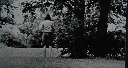 Still frame 165 from Blow-Up (1966) directed by Michelangelo Antonioni
