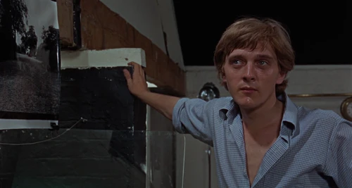 Still frame 166 from Blow-Up (1966) directed by Michelangelo Antonioni