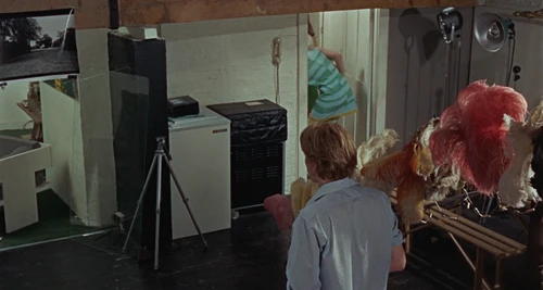 Still frame 187 from Blow-Up (1966) directed by Michelangelo Antonioni