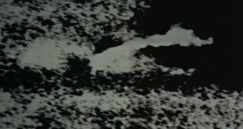 Still frame 194 from Blow-Up (1966) directed by Michelangelo Antonioni