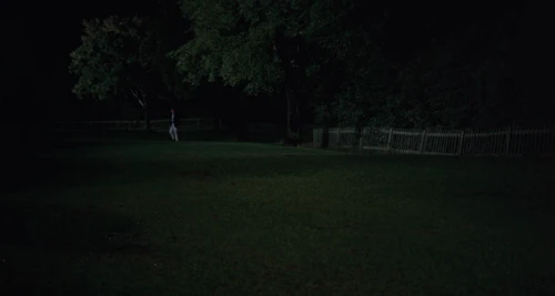 Still frame 204 from Blow-Up (1966) directed by Michelangelo Antonioni