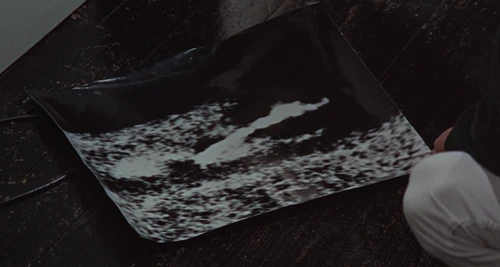 Still frame 215 from Blow-Up (1966) directed by Michelangelo Antonioni