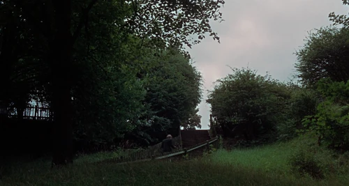 Still frame 250 from Blow-Up (1966) directed by Michelangelo Antonioni