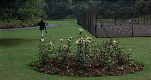 Still frame 68 from Blow-Up (1966) directed by Michelangelo Antonioni