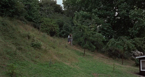 Still frame 71 from Blow-Up (1966) directed by Michelangelo Antonioni