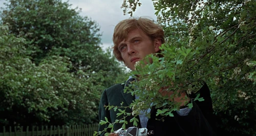 Still frame 72 from Blow-Up (1966) directed by Michelangelo Antonioni