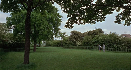 Still frame 73 from Blow-Up (1966) directed by Michelangelo Antonioni