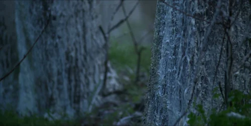 Still frame 114 from Bring Her Back (2025) directed by Danny Philippou, Michael Philippou