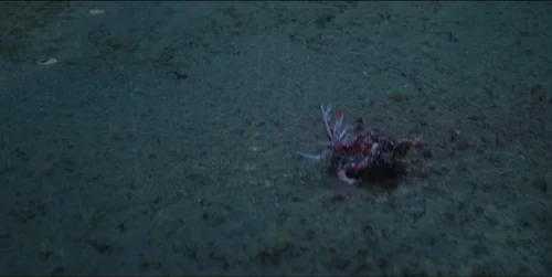 Still frame 173 from Bring Her Back (2025) directed by Danny Philippou, Michael Philippou