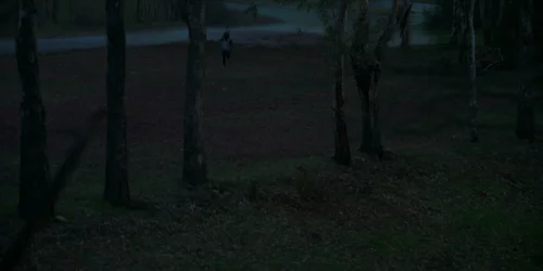 Still frame 206 from Bring Her Back (2025) directed by Danny Philippou, Michael Philippou