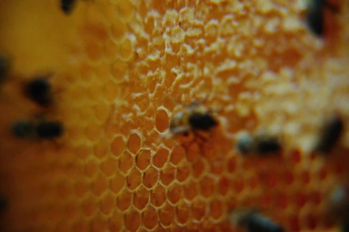 Still frame 4 from Bugonia (2025) directed by Yorgos Lanthimos