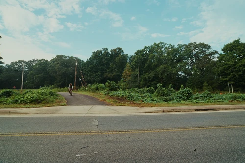 Still frame 72 from Bugonia (2025) directed by Yorgos Lanthimos
