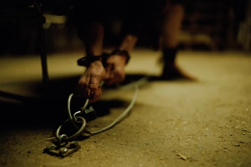 Still frame 113 from Bugonia (2025) directed by Yorgos Lanthimos