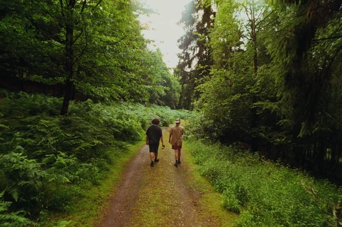 Still frame 11 from Bugonia (2025) directed by Yorgos Lanthimos