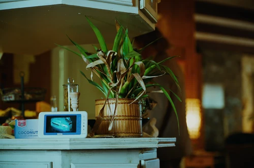 Still frame 164 from Bugonia (2025) directed by Yorgos Lanthimos