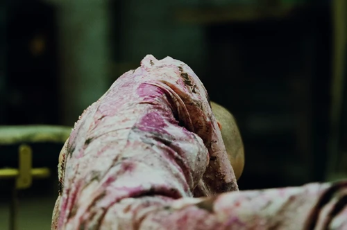 Still frame 172 from Bugonia (2025) directed by Yorgos Lanthimos