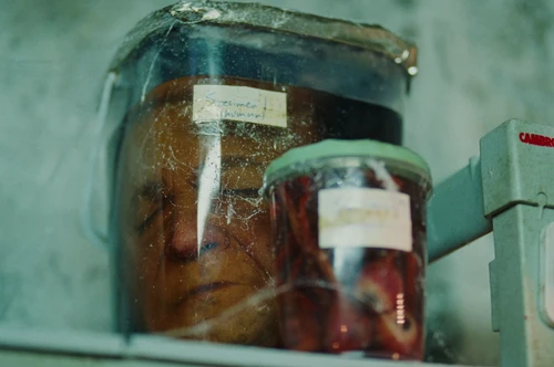 Still frame 203 from Bugonia (2025) directed by Yorgos Lanthimos