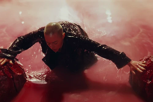 Still frame 248 from Bugonia (2025) directed by Yorgos Lanthimos