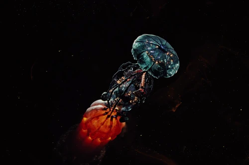 Still frame 249 from Bugonia (2025) directed by Yorgos Lanthimos