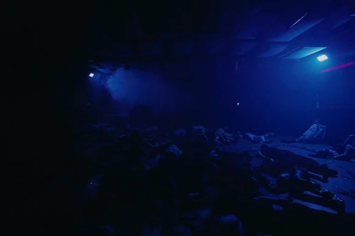 Still frame 258 from Bugonia (2025) directed by Yorgos Lanthimos
