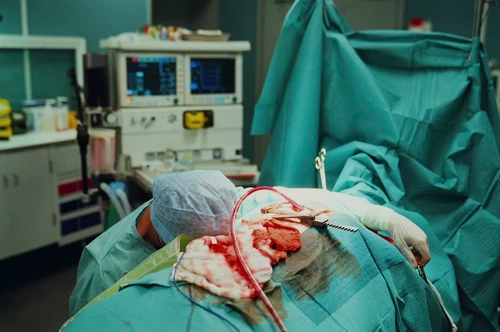 Still frame 265 from Bugonia (2025) directed by Yorgos Lanthimos