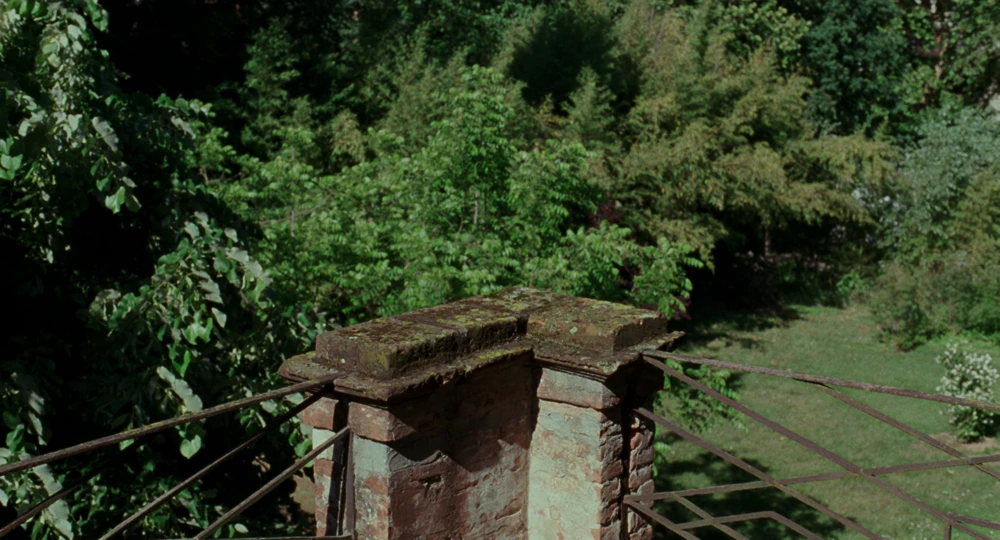 Still frame 62 from Call Me by Your Name (2017) directed by Luca Guadagnino