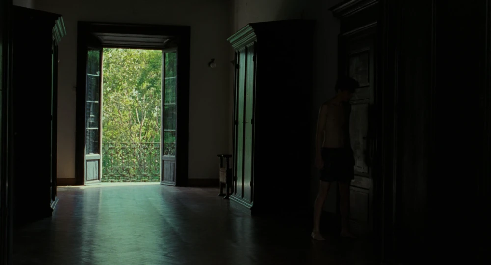 Still frame 65 from Call Me by Your Name (2017) directed by Luca Guadagnino