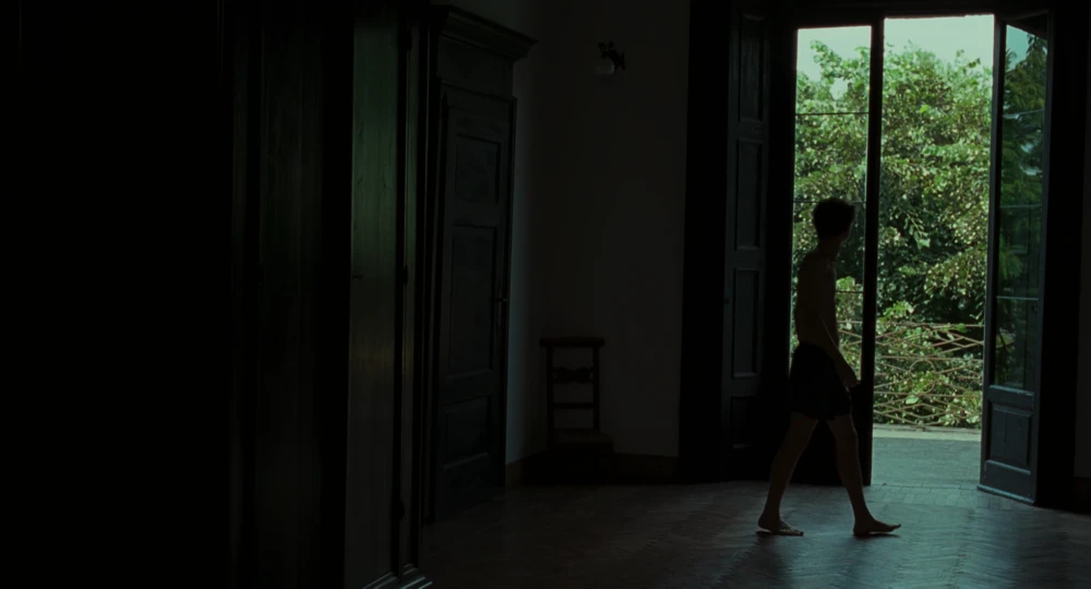 Still frame 69 from Call Me by Your Name (2017) directed by Luca Guadagnino