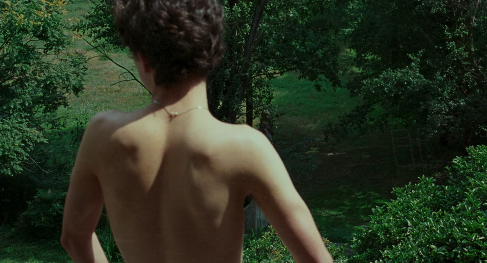 Still frame 71 from Call Me by Your Name (2017) directed by Luca Guadagnino