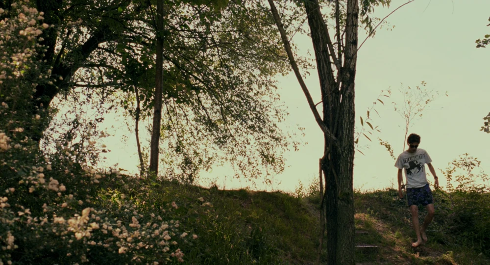 Still frame 89 from Call Me by Your Name (2017) directed by Luca Guadagnino