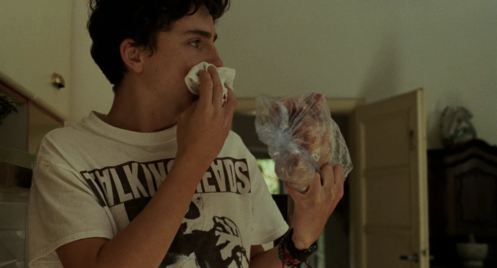 Still frame 98 from Call Me by Your Name (2017) directed by Luca Guadagnino