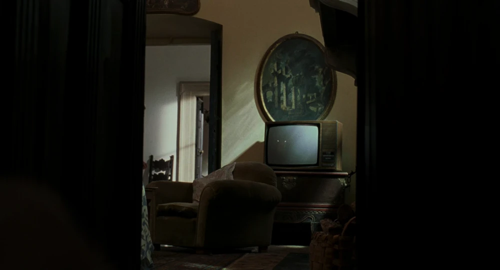 Still frame 99 from Call Me by Your Name (2017) directed by Luca Guadagnino