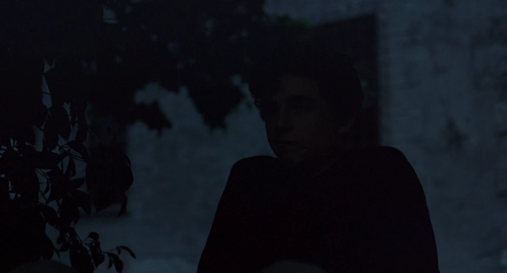 Still frame 106 from Call Me by Your Name (2017) directed by Luca Guadagnino