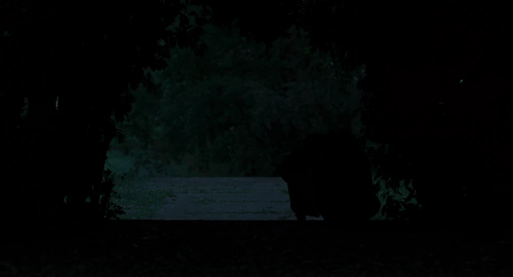 Still frame 107 from Call Me by Your Name (2017) directed by Luca Guadagnino