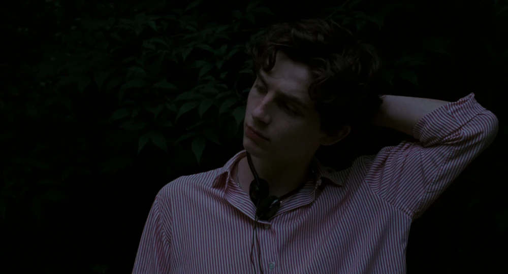 Still frame 108 from Call Me by Your Name (2017) directed by Luca Guadagnino