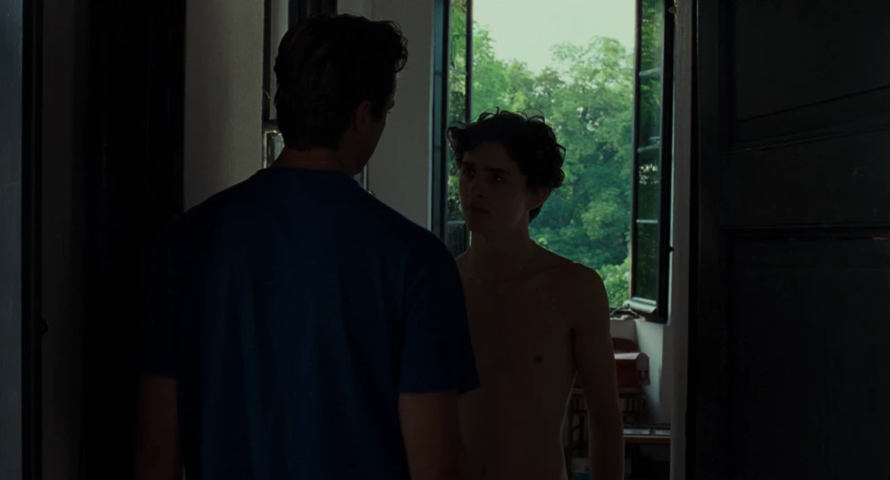 Still frame 141 from Call Me by Your Name (2017) directed by Luca Guadagnino