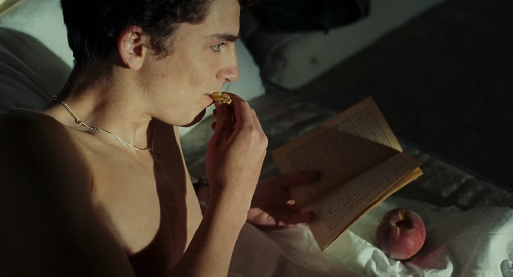 Still frame 142 from Call Me by Your Name (2017) directed by Luca Guadagnino