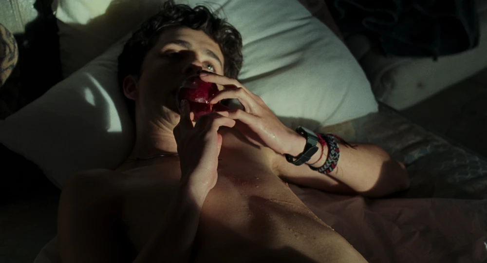 Still frame 144 from Call Me by Your Name (2017) directed by Luca Guadagnino