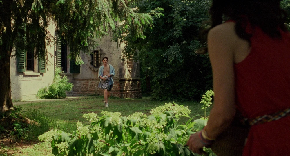 Still frame 155 from Call Me by Your Name (2017) directed by Luca Guadagnino