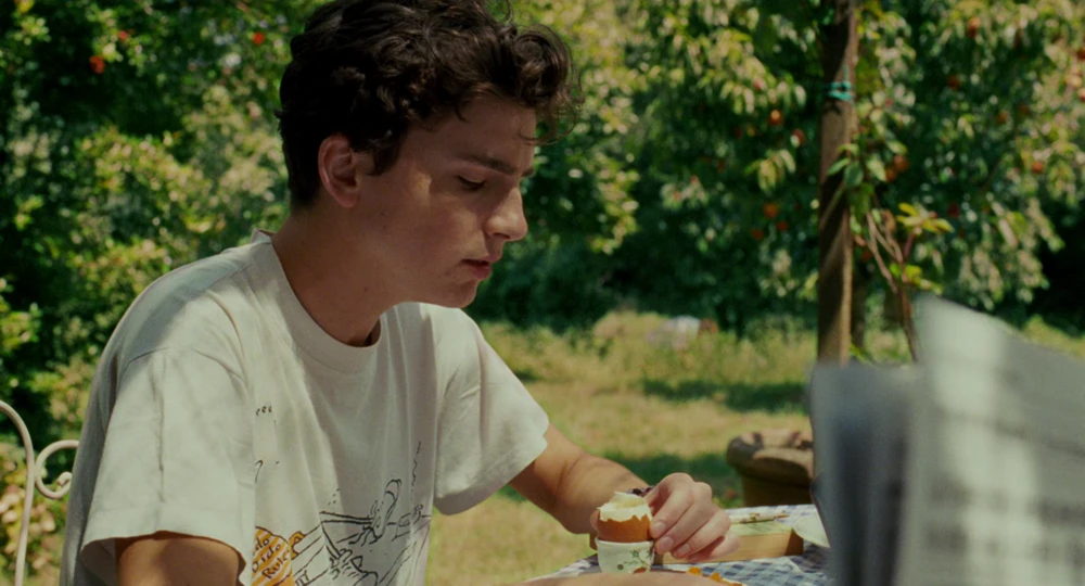 Still frame 12 from Call Me by Your Name (2017) directed by Luca Guadagnino