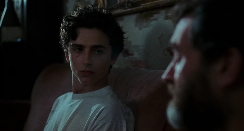 Still frame 177 from Call Me by Your Name (2017) directed by Luca Guadagnino