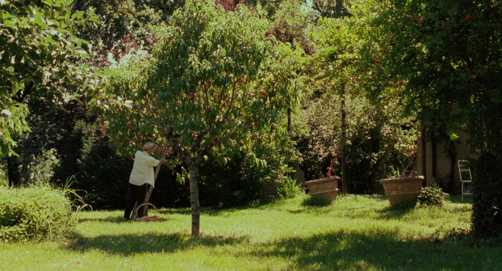 Still frame 25 from Call Me by Your Name (2017) directed by Luca Guadagnino