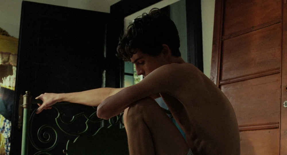 Still frame 28 from Call Me by Your Name (2017) directed by Luca Guadagnino