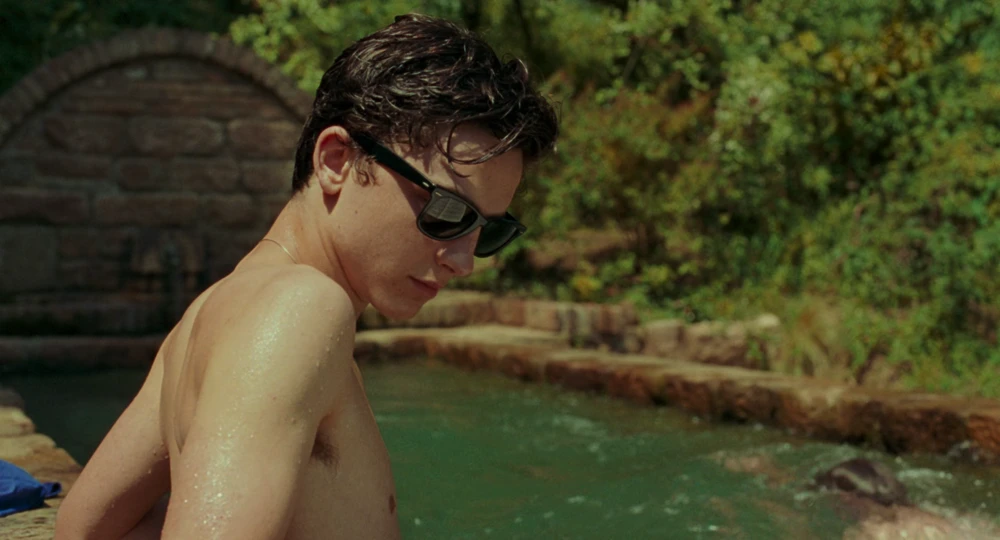 Still frame 29 from Call Me by Your Name (2017) directed by Luca Guadagnino