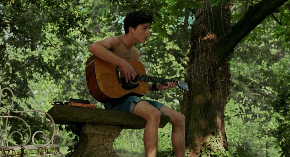 Still frame 30 from Call Me by Your Name (2017) directed by Luca Guadagnino