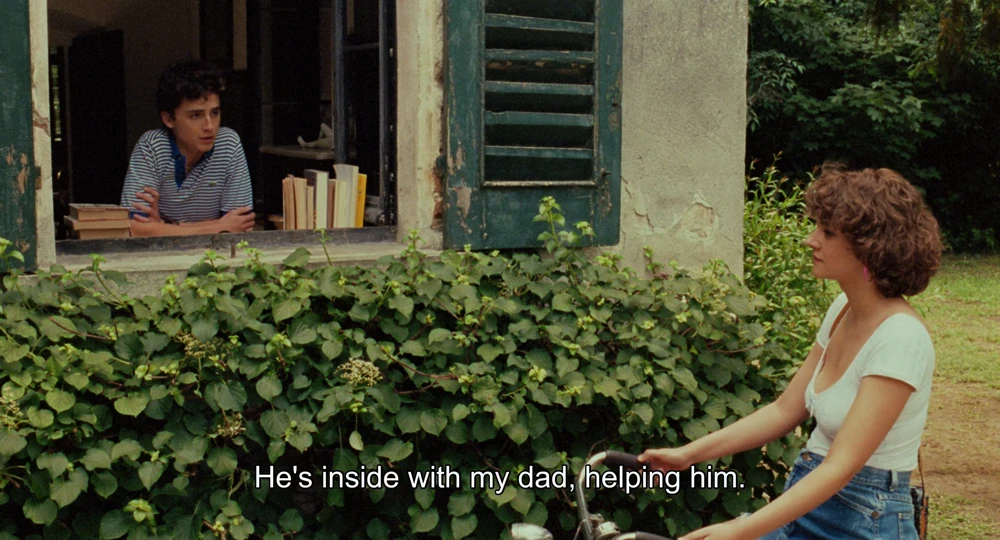 Still frame 46 from Call Me by Your Name (2017) directed by Luca Guadagnino