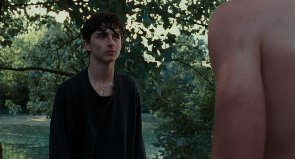 Still frame 139 from Call Me by Your Name (2017) directed by Luca Guadagnino