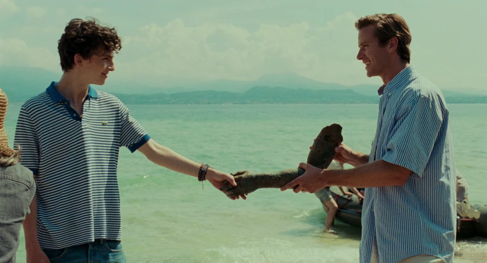 Still frame 52 from Call Me by Your Name (2017) directed by Luca Guadagnino