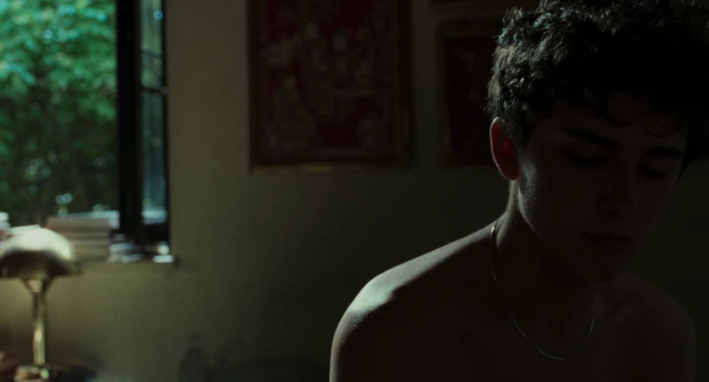 Still frame 61 from Call Me by Your Name (2017) directed by Luca Guadagnino